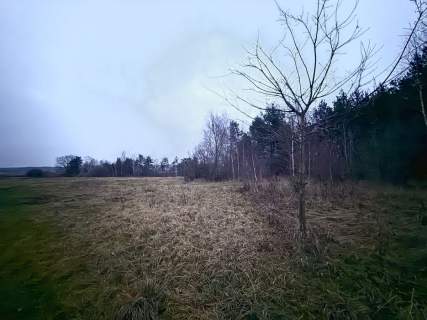 Okazja Duża działka rolna w Borkowie 9802m2
