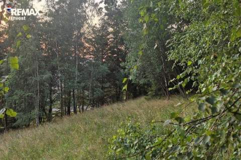 Cisza, las i górski klimat