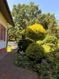 Dom przy lesie 2728 m zieleni Brachlewo 950 m jezioro