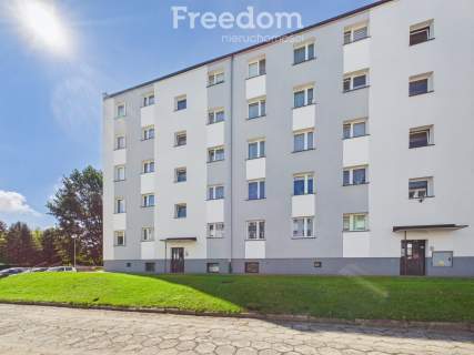 Przytulna kawalerka z oddzielną kuchnią i piwnicą