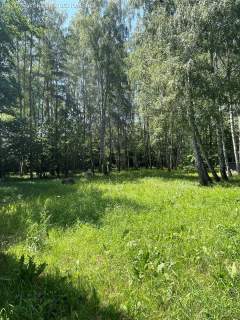 Nadarzyn, 5000 m2, MPZP,mieszkaniowa jednorodzinna