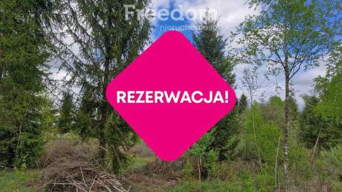 Twoje miejsce ciszy  750m od jeziora Warmia Mazury