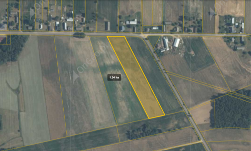 Pakiet Ziemi 4,64 ha, Nowa Wieś, gm.Siemiątkowo, pow.żuromin
