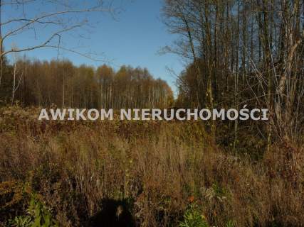 Działka budowlana na sprzedaż, 2641 m2, Budy Zaklasztorne