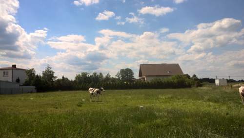 Działka budowlana 12a - Lisowice, ul. Andrzejowa