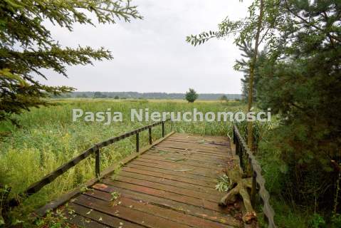 Dom ze stawem w Płocku