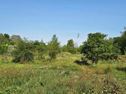 Siedlisko w Kolonii Ostrówek o pow. ok. 4,35 ha