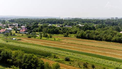 Działka budowlana Tarnów, ul. Cedrowa
