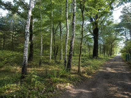 Działka na sprzedaż Mikołów, Borowa Wieś 1 6