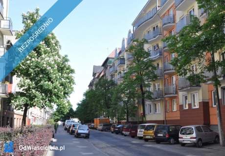Kawalerka Poznań-Centrum. Po remoncie. Balkon. Winda.