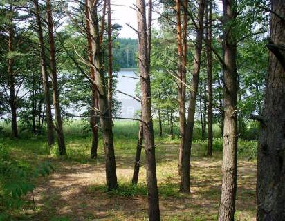 Linia brzegowa, ok.39 000PUM/PUU