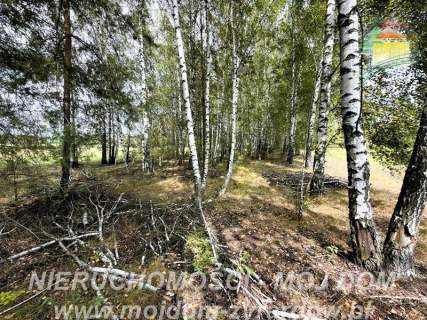 Działka rolno-leśna w Petrykozach - 16 975 m2