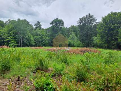 Działka budowlana/usługowa w zaciszu lasu 3350m2