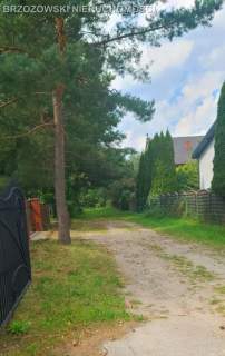 Nadarzyn, 5000 m2, MPZP,mieszkaniowa jednorodzinna