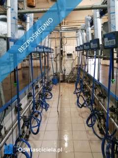 Sprzedam Gospodarstwo Rolne 32,6 ha