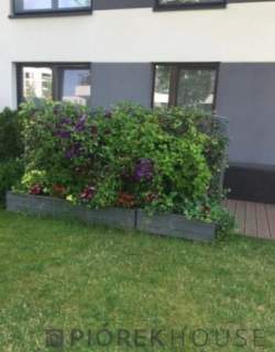 3-pokojowe mieszkanie na Mokotowie