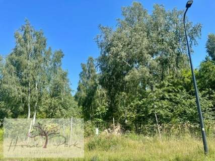 Działka dla DEWELOPERA Olechów/Janów 9960m2