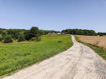 Działki o łącznej powirzchni 4,25 ha Joniny