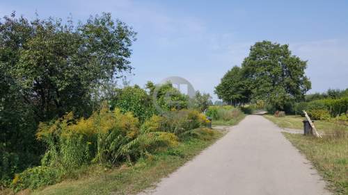 Działka budowlana na sprzedaż, 1900 m2, Maszewo