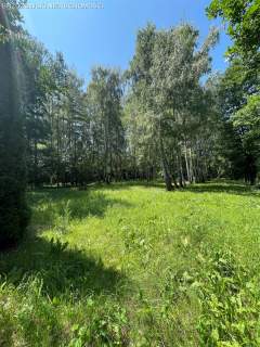 Nadarzyn, 5000 m2, MPZP,mieszkaniowa jednorodzinna