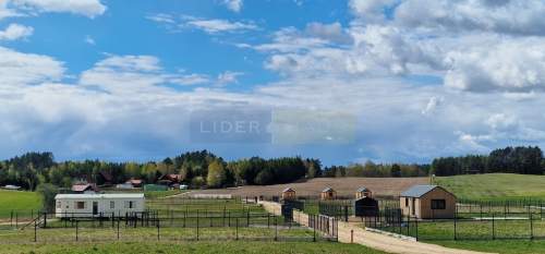 Linia brzegowa, ok.39 000PUM/PUU
