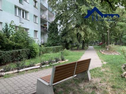 Cicha, zielona okolica, dobra komunikacja