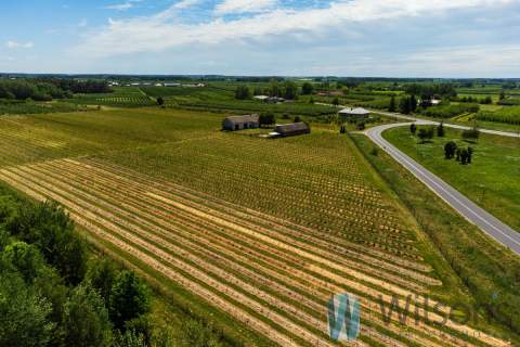 Grunt pod hale/magazyny - 5,65 ha przy S7