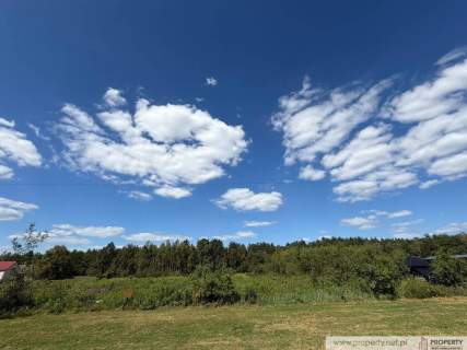 Działka z WZ, 37 a, Zasów, gm. Żyraków