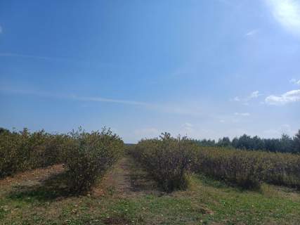 Działka na sprzedaż 18 600m2