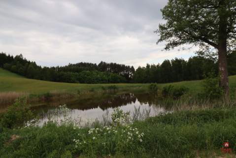 Dom wśród natury