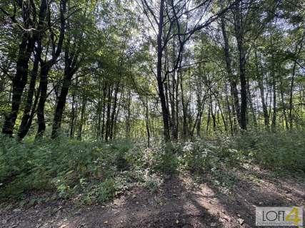 Duża działka z lasem , ponad 1,80 ha