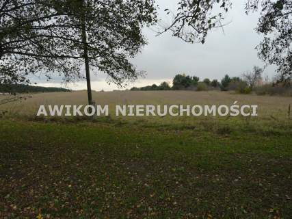 Działka rolna na sprzedaż, 58340 m2, Lisowola