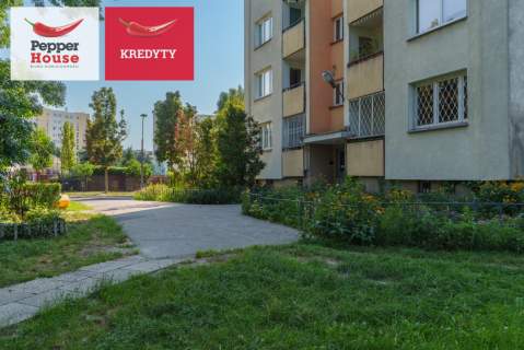 Ustawne 3 pokoje w bardzo dobrej lokalizacji