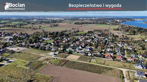 Duża, uzbrojona, płaska, słoneczna Wiślinka
