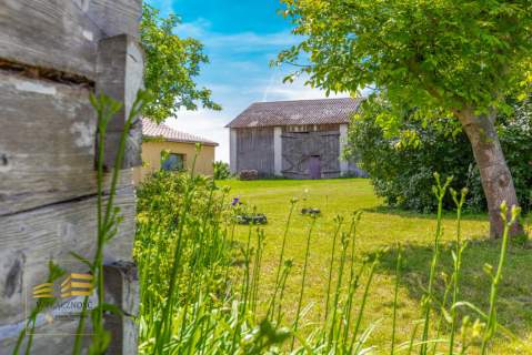 Siedlisko 3,5 ha