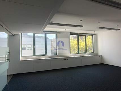 Śródmieście, biuro 237,23m2 do wynajęcia
