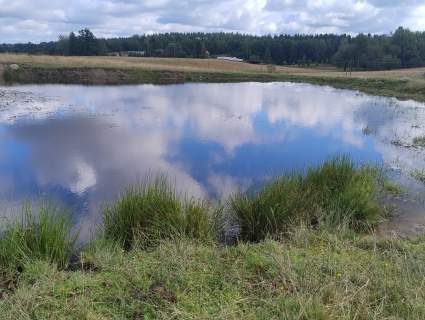 Mazury Puszcza Borecka Działka Rolna 12,4469 ha