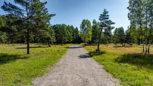 DZIAŁKI BUDOWLANE Z WIDOKIEM NA LAS I RZEKĘ