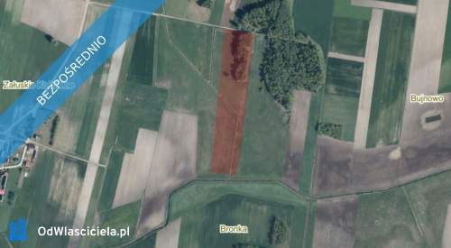 Sprzedam działkę rolną łąka o pow. 2.82 ha w miejscowości Załus