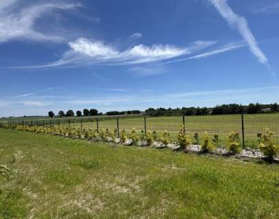 Działka rolna z warunkami zabudowy o pow.3001 m2, Żelazków