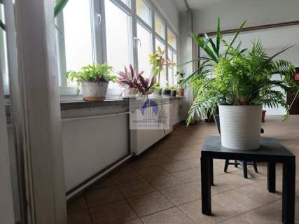 Wawer lokal biurowy 32,86m2 do wynajęcia