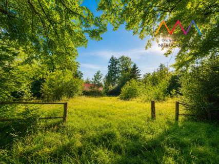 Inwestycja nad jeziorem   glamping, domki 1,66 ha