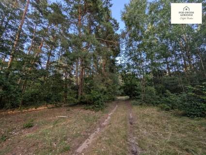 Działki blisko jeziora z MPZP, księga wieczysta