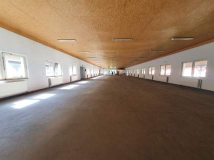 Magazyn do wynajęcia, 650 m2, Lubieszyn