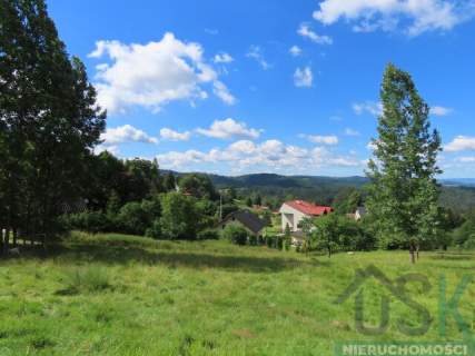 Działka budowlana 1992 m2 Koniaków - Ochodzita, piękne widoki