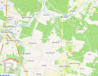 Działka w otoczeniu lasów