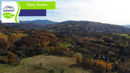 PROMOCJA - Działki - Olszyniec - PODLESIE