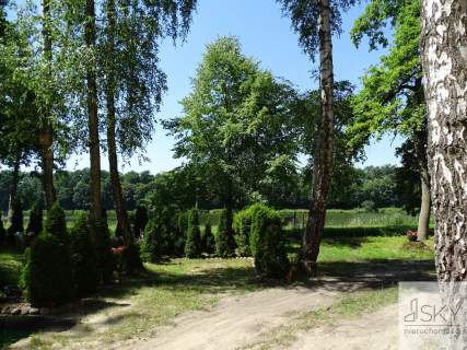 Całoroczny domek nad stawami Wilczyn Leśny