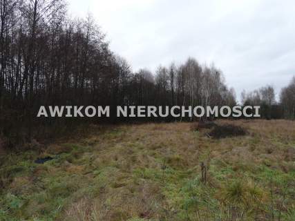 Działka rolna na sprzedaż, 15362 m2, Skierniewice