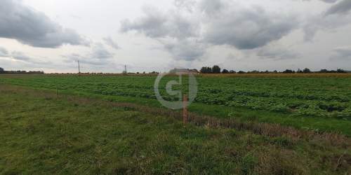 4 działki budowlane w Wieprzycach pod Gorzowem
